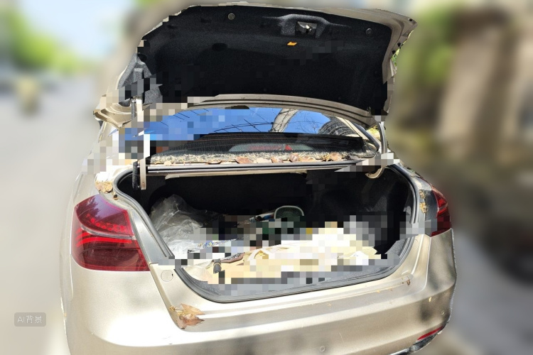 GEELY Emgrand 2020 car image #21