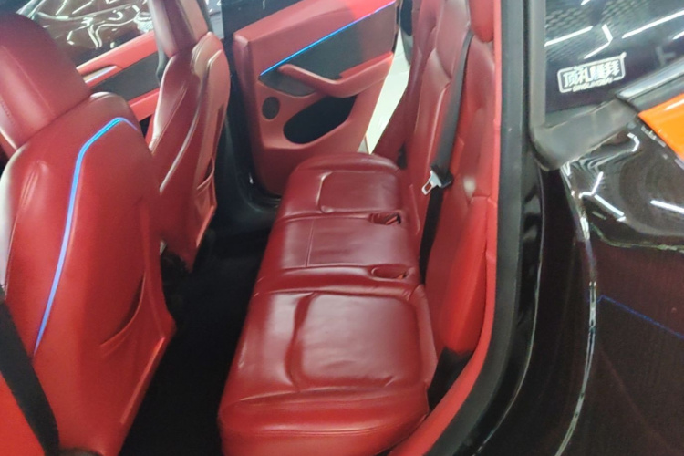 Tesla Model Y 2021 car image #13