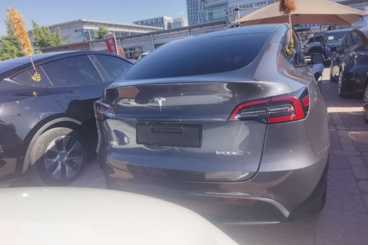 Tesla Model Y 2021 car image #6