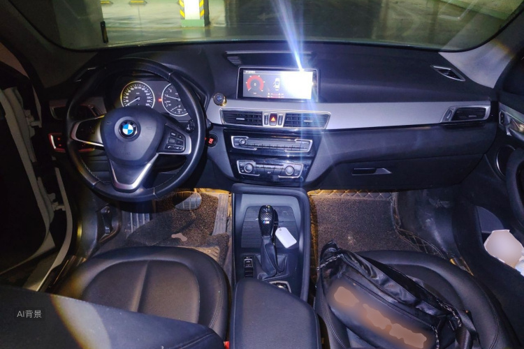 BMW X1 2016 car image #11
