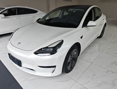 Tesla Model 3 2021 Tesla Model 3 2021 car image