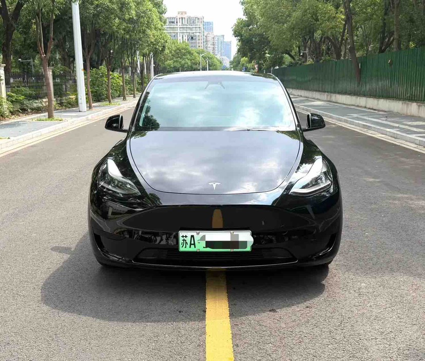 Tesla Model Y 2022 car image #2