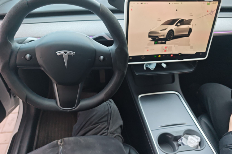 Tesla Model Y 2024 car image #15