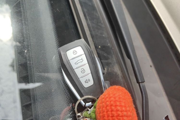 GEELY Emgrand 2019 car image #11