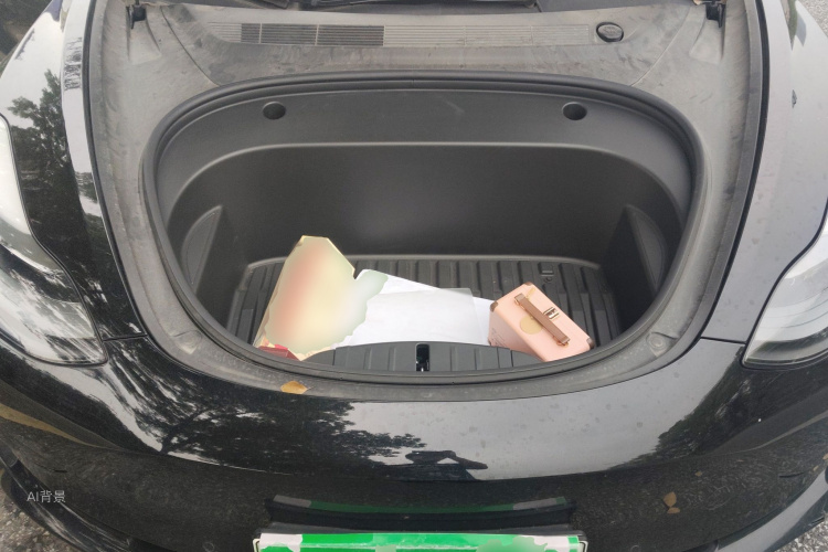Tesla Model 3 2021 #22 Tesla Model 3 2021 car image #22