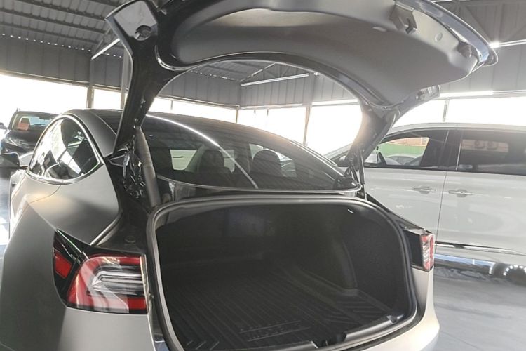 Tesla Model 3 2021 #19 Tesla Model 3 2021 car image #19