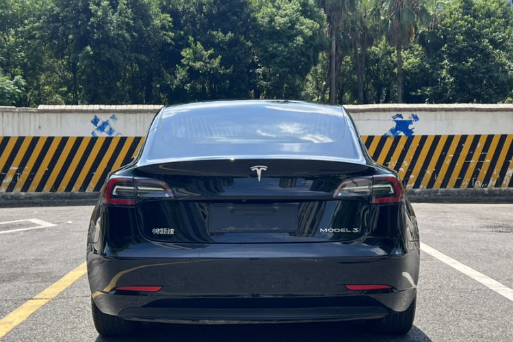 Tesla Model 3 2020 #7 Tesla Model 3 2020 car image #7