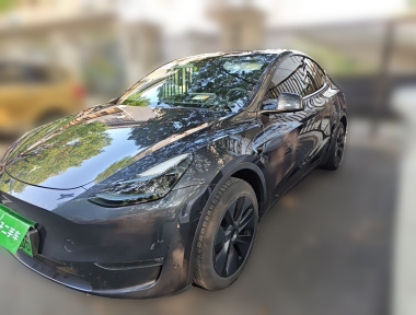 Tesla Model Y 2024 car image 