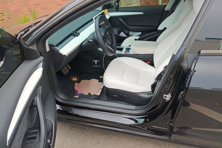 Tesla Model 3 2023 car image #15