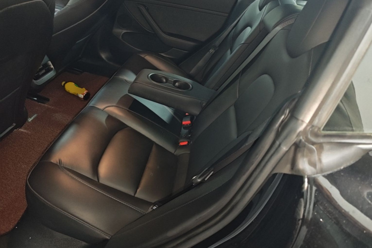 Tesla Model 3 2022 #17 Tesla Model 3 2022 car image #17