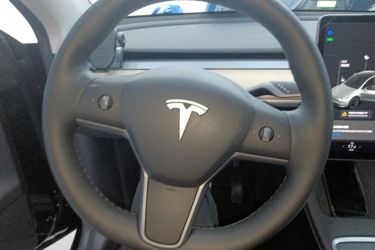 Tesla Model Y 2021 #11 Tesla Model Y 2021 car image #11