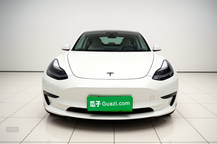 Tesla Model 3 2022 #3 Tesla Model 3 2022 car image #3