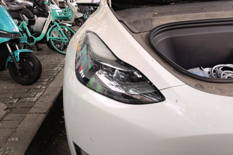 Tesla Model Y 2021 #8 Tesla Model Y 2021 car image #8