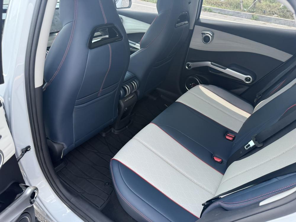 BYD Yuan Plus 2022 car image #19