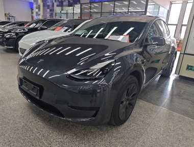 Tesla Model Y 2024 Tesla Model Y 2024 car image