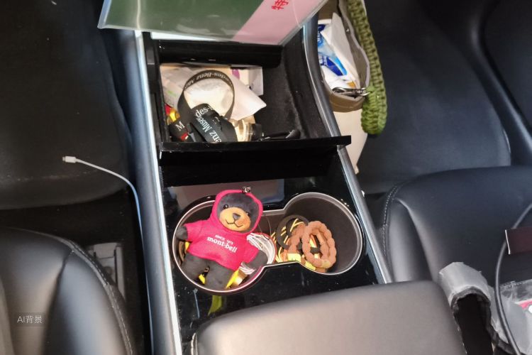 Tesla Model 3 2020 car image #16