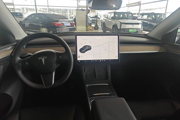 Tesla Model Y 2021 car image #10
