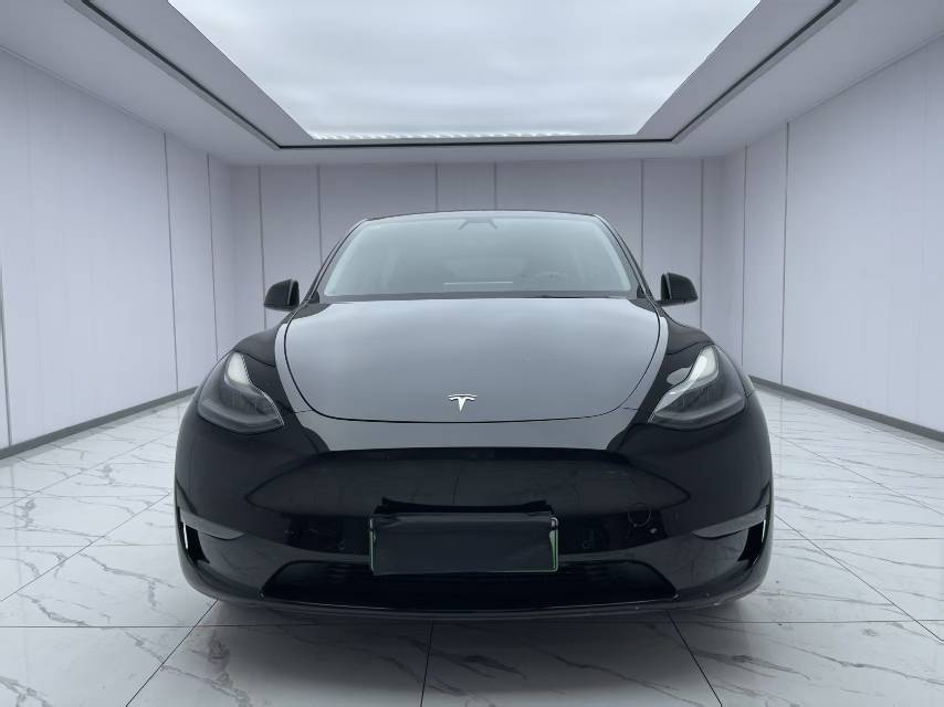 Tesla Model Y 2021 car image #2