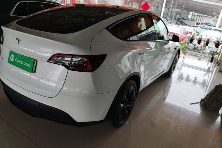 Tesla Model Y 2024 car image #8