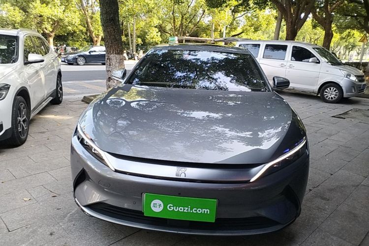 BYD Han 2021 immagine di auto #3