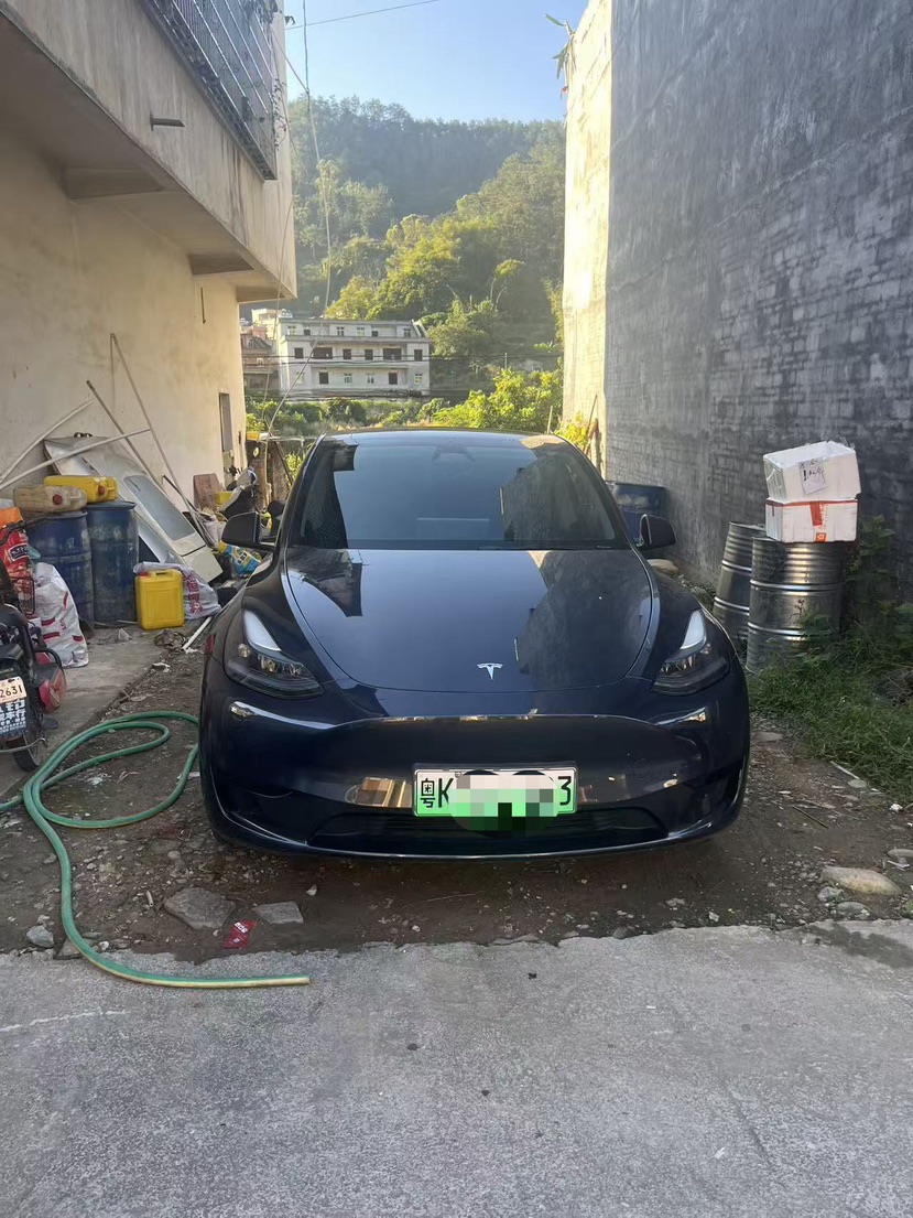 Tesla Model Y 2024 car image 