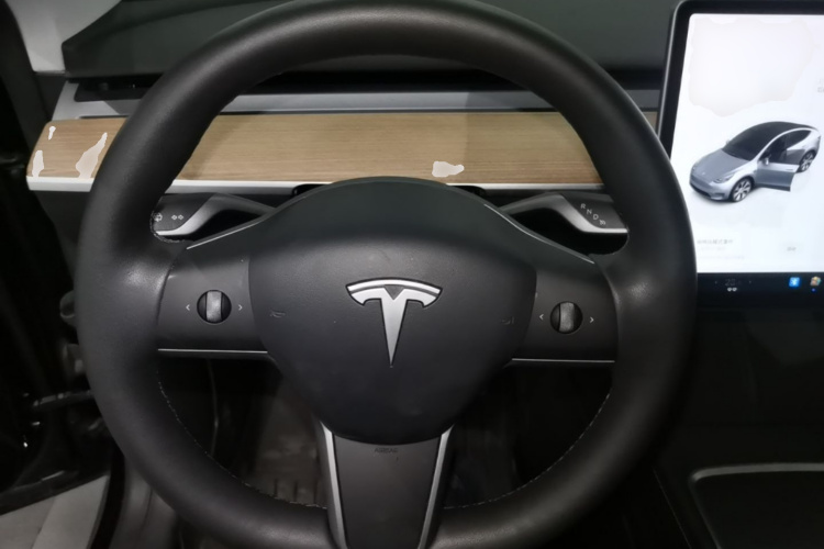 Tesla Model Y 2022 car image #15