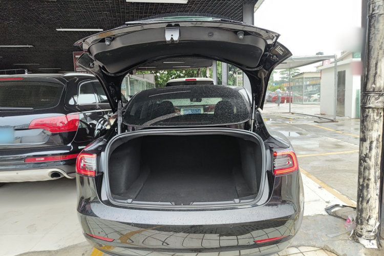 Tesla Model 3 2021 #21 Tesla Model 3 2021 car image #21
