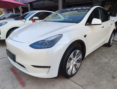Tesla Model Y 2021 car image 