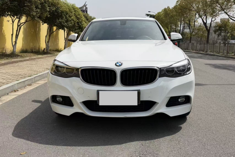 BMW 3 Series GT 2019 car image #3