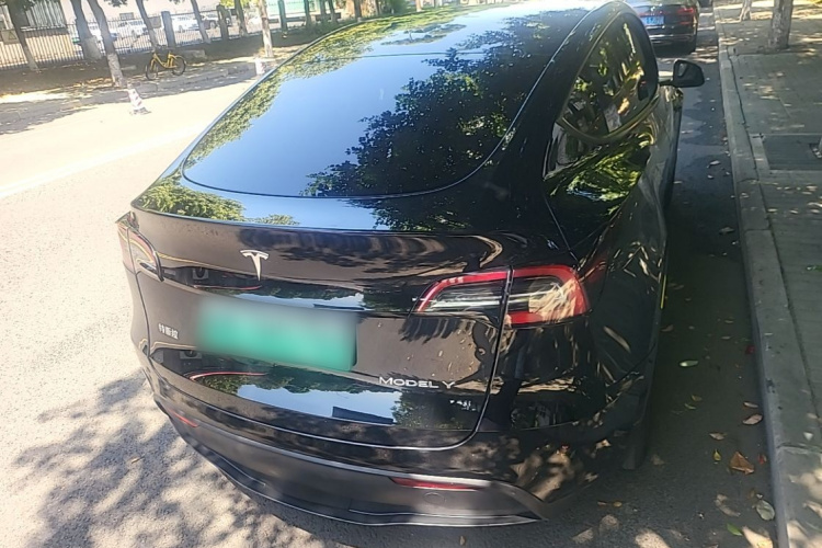 Tesla Model Y 2024 #6 Tesla Model Y 2024 car image #6