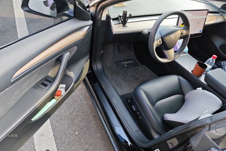 Tesla Model 3 2021 #18 Tesla Model 3 2021 car image #18