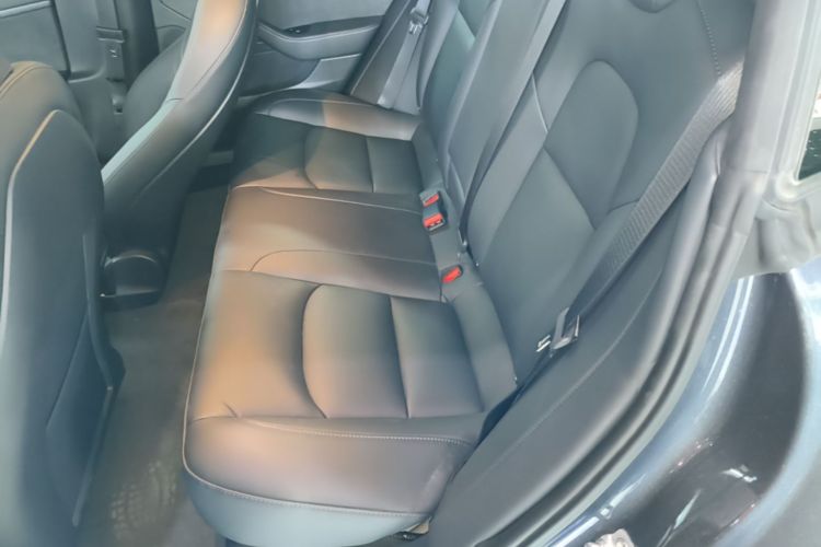Tesla Model 3 2020 car image #17