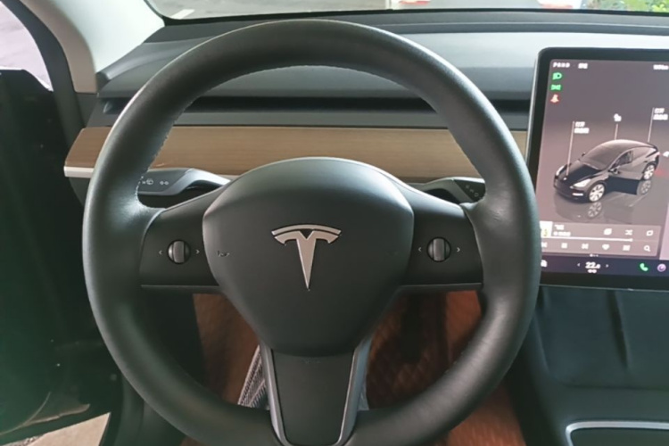 Tesla Model Y 2022 car image #12