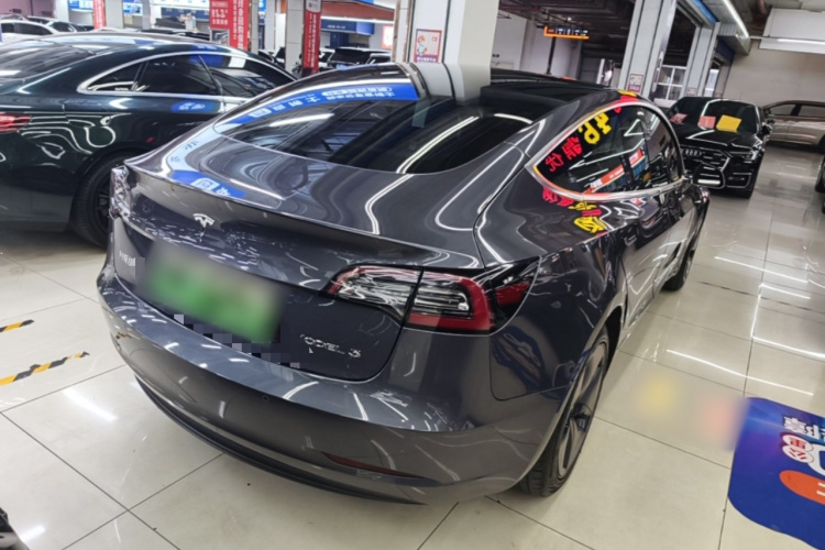 Tesla Model 3 2020 immagine di auto #7