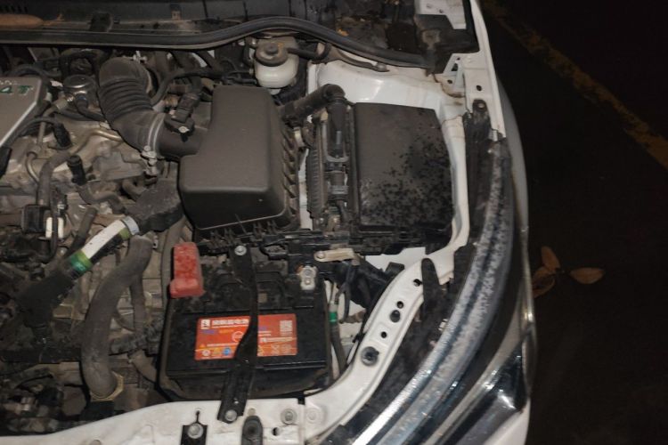 Toyota Corolla 2019 #27 Toyota Corolla 2019 immagine di auto #27