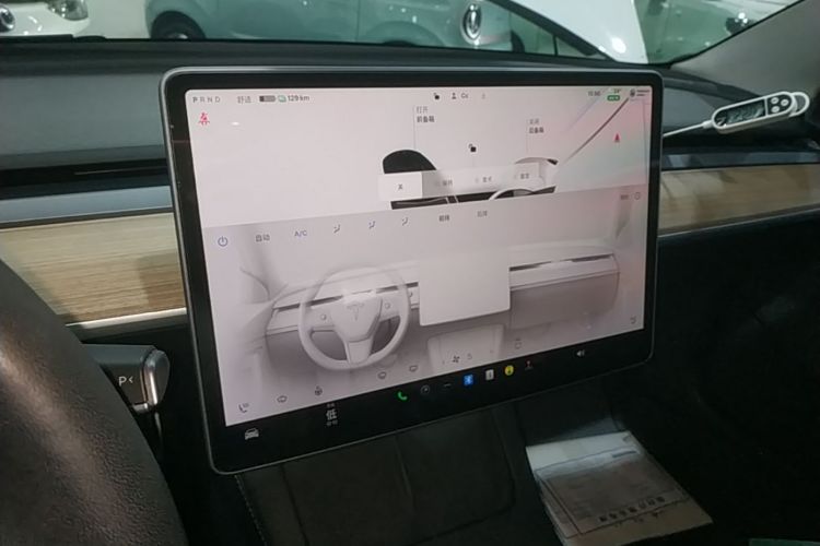 Tesla Model 3 2022 car image #16