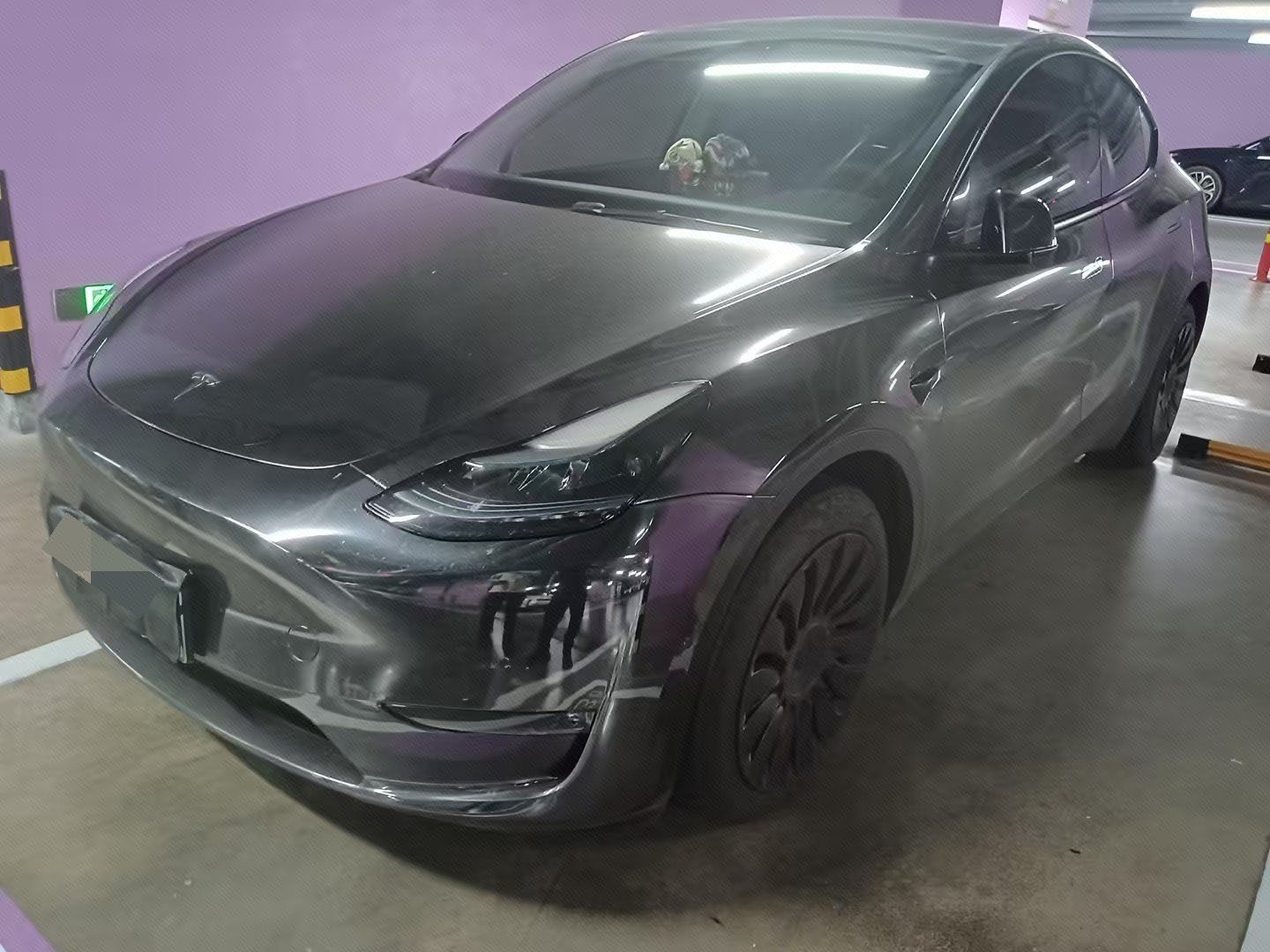 Tesla Model Y 2023 Tesla Model Y 2023 car image