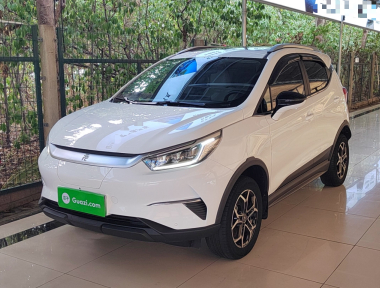 BYD Yuan Pro 2021 car image 