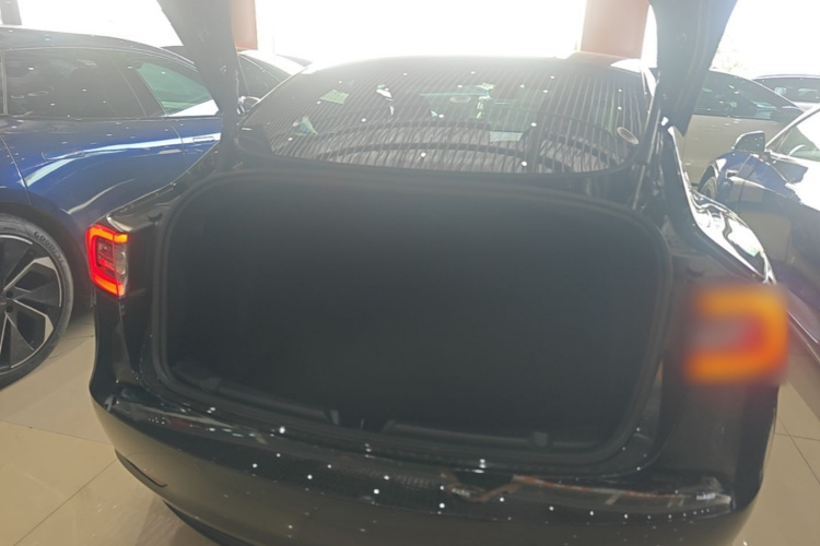 Tesla Model 3 2021 immagine di auto #19