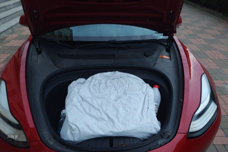 Tesla Model 3 2020 #22 Tesla Model 3 2020 car image #22