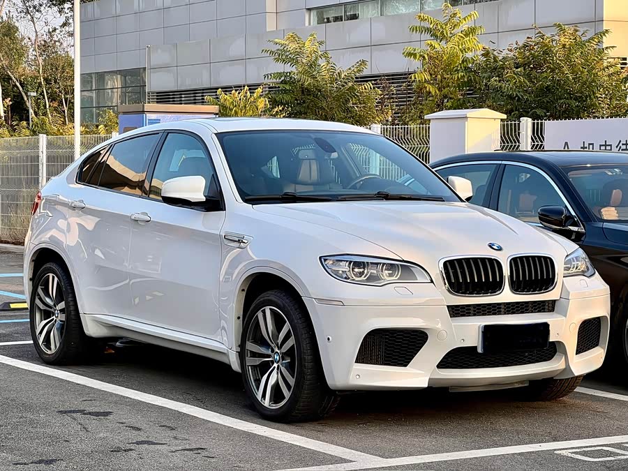 BMW X6 M 2012 car image #13