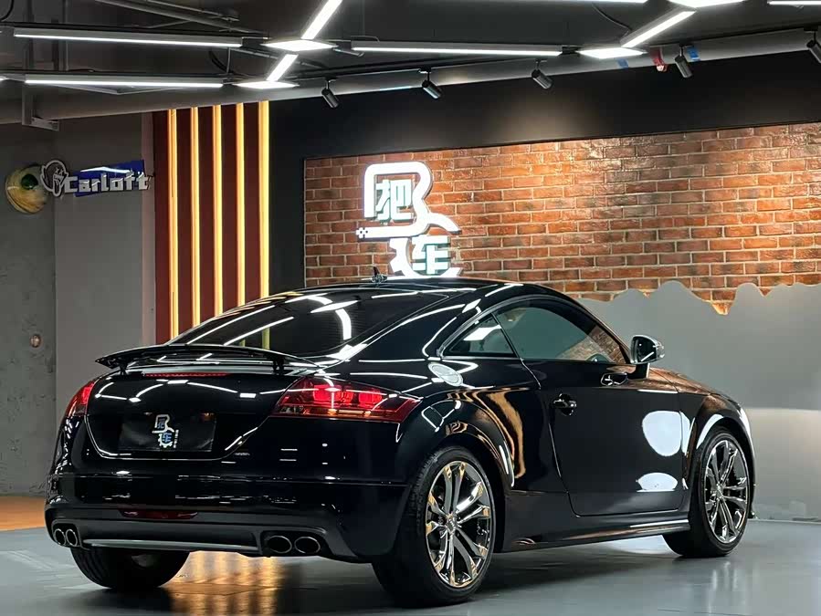 Audi TTS 2009 imagem de carro #13