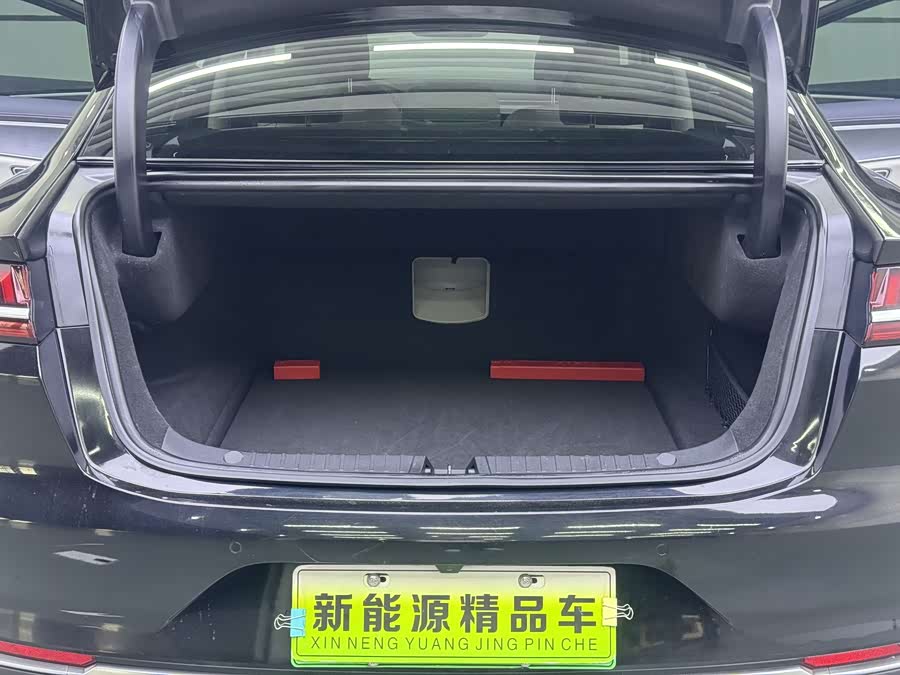 BYD e9 2021 car image #13