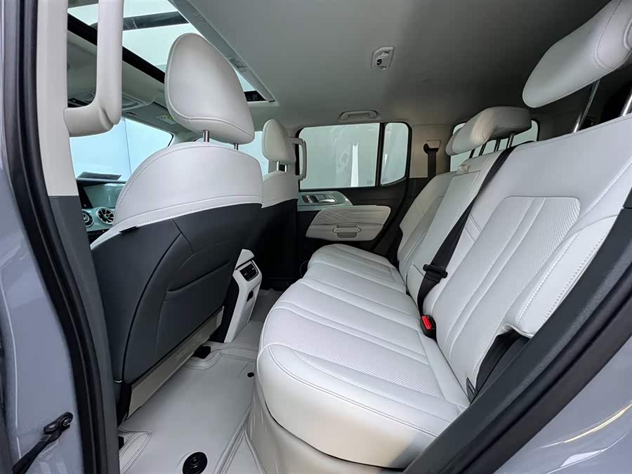 Tank 300 New Energy 2024 #13 Tank 300 New Energy 2024 car image #13