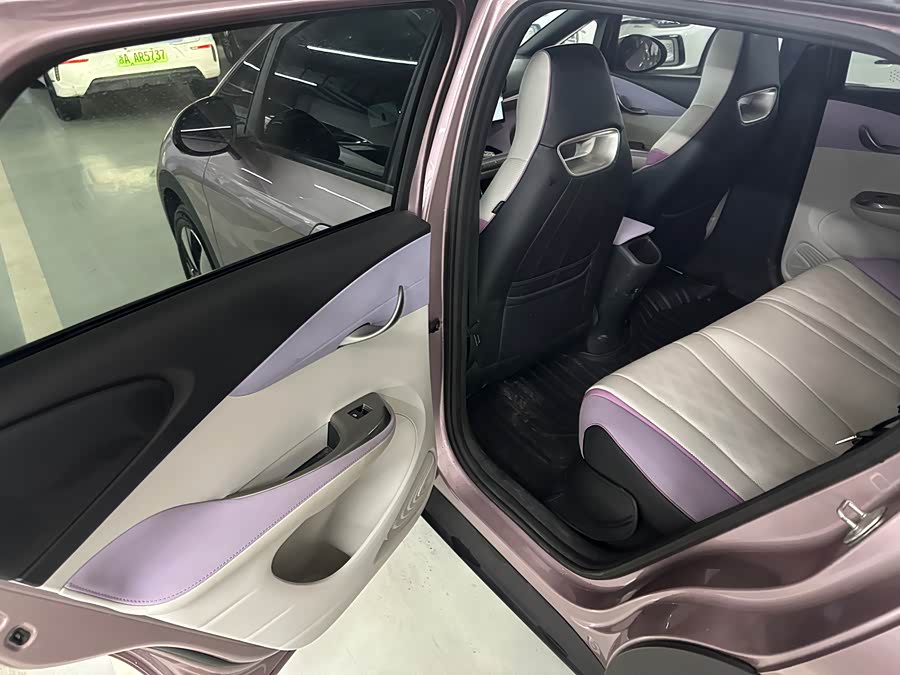 BYD Dolphin 2023 imagem de carro #13