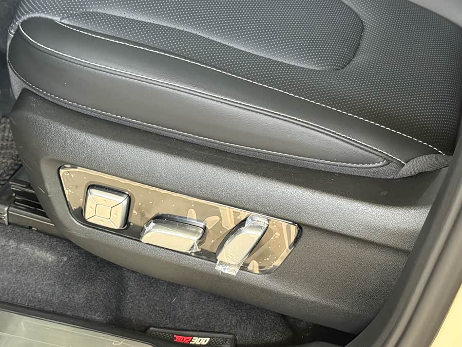 Tank 300 New Energy 2025 #13 Tank 300 New Energy 2025 car image #13