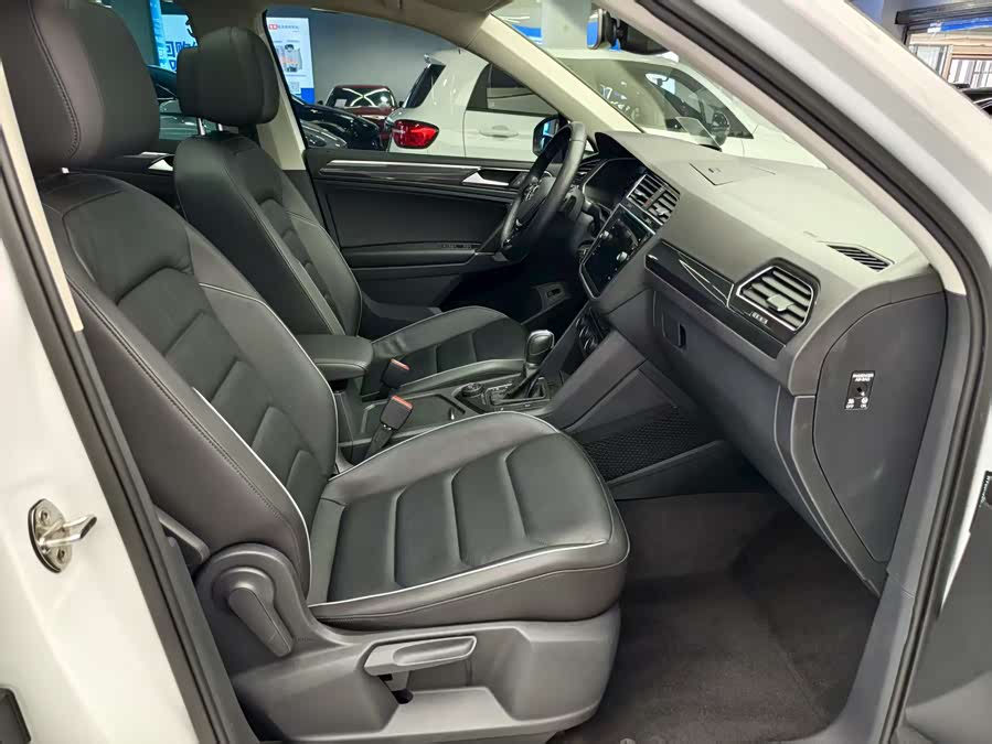 大众 Tiguan 2019 汽车图片 #13