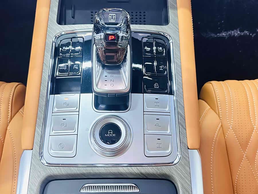 Tank 500 New Energy 2024 car image #13