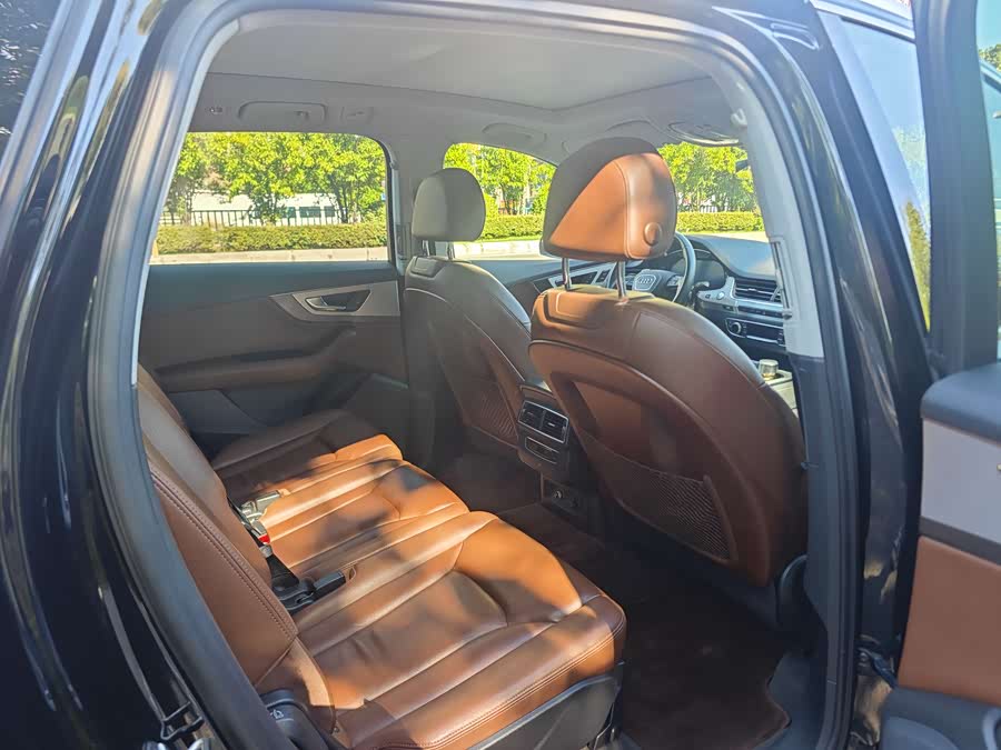 Audi Q7 New Energy 2019 car image #13