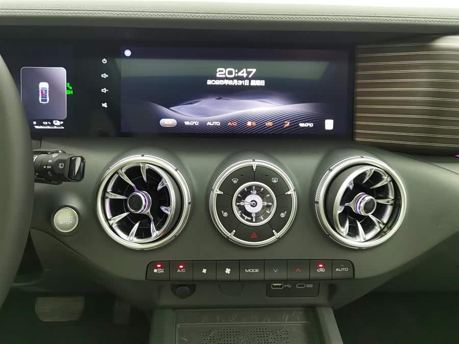 Tank 300 New Energy 2024 car image #13